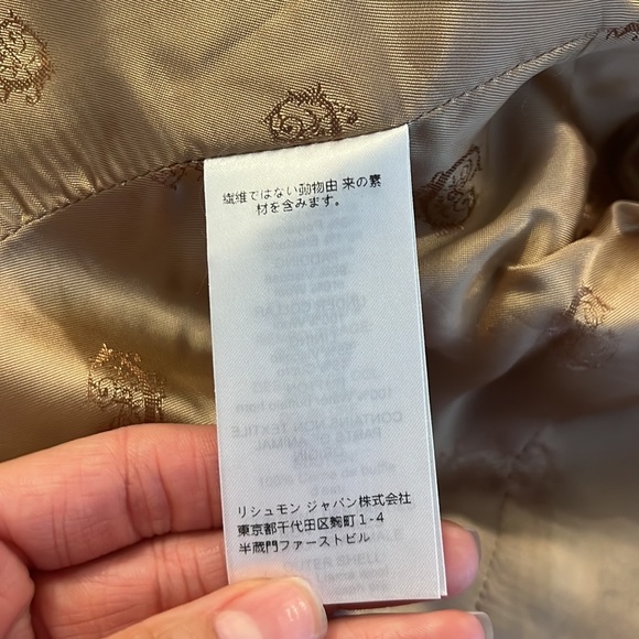 Chloe - Picture 5 of 6